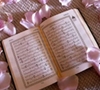 Quran Rose.jpg